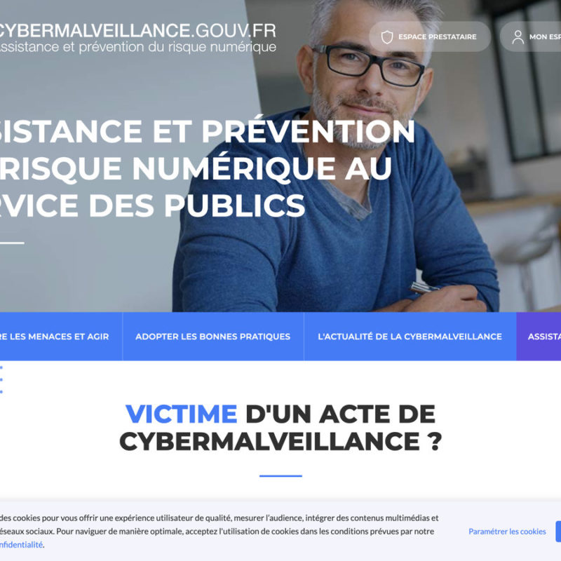 Capture d'Ecran - Cyber Malveillance Site Gouvernement